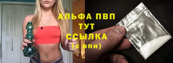 стафф Богородицк