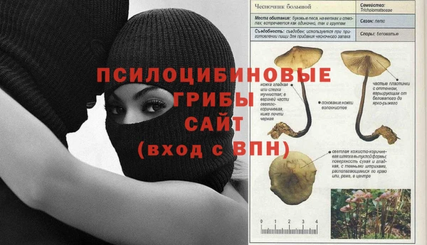 прущие крисы Бугульма