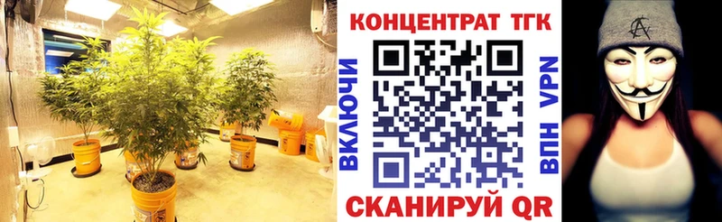 магазин продажи   Бикин  ТГК вейп с тгк 