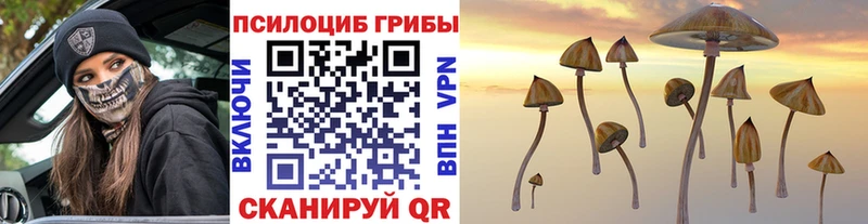 купить наркоту  Бикин  Псилоцибиновые грибы мухоморы 